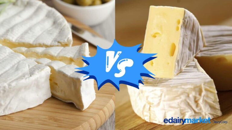Camembert vs Brie: Unveiling the Differences Between Camembert and Brie
