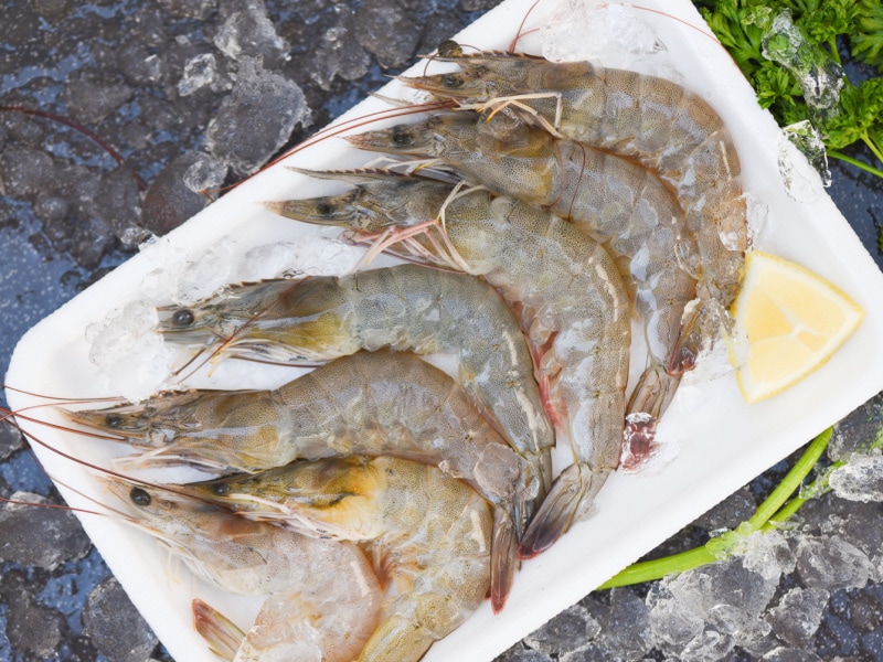 Detecting Bad Shrimp: How to Tell If Shrimp Has Gone Bad