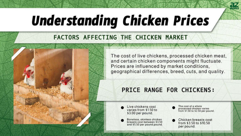 Chicken Price Per Pound: Understanding the Cost of Chicken per Pound