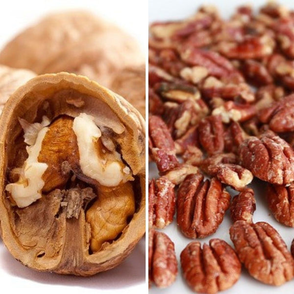 Walnuts vs Black Walnuts: Examining the Differences Between Walnuts